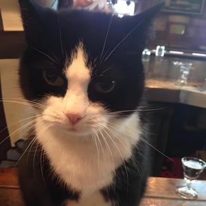 fortnite x jewelxxet (real!) (feat. cynicalv & ghostbush)