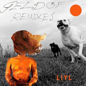 Geldof (Remixes)