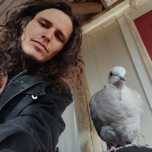 Can you Feel It,  a frEestyLe Flow.