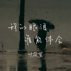 我的眼泪谁能体会 (DJ版)