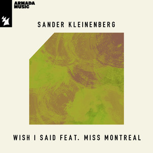Wish I Said (Extended Mix)