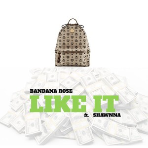 Like It (feat. Shawnna) [Explicit]