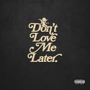 Don't Love Me Later (Explicit)