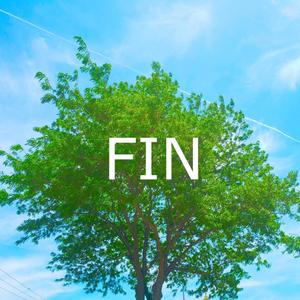 FIN