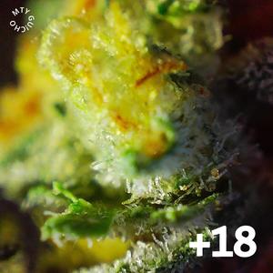 !N THE SKY (Explicit)