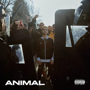Animal (Explicit)
