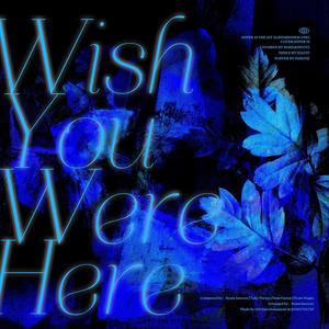 Wish You Were Here (Accapella.ver)