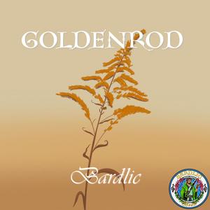Goldenrod