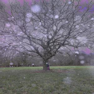 Acid Rain (Explicit)