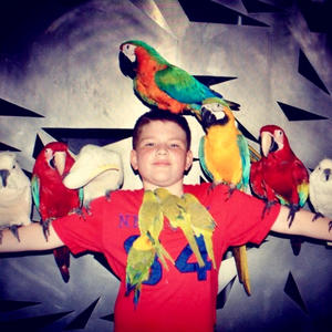 Yabba Dabba Doo (Explicit)