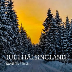 Jul i Hälsingland