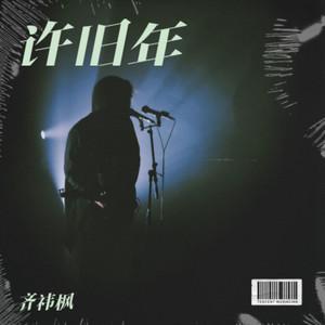 新鸳鸯蝴蝶梦 (齐祎枫 remix)