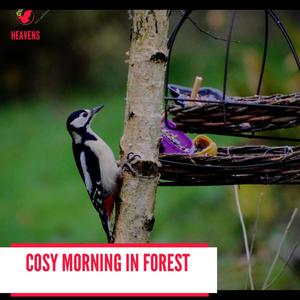 Cosy Morning in Forest