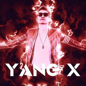Alan Walker-Alan Walker - 即可电音- Faded (山羊叫兽 remix)