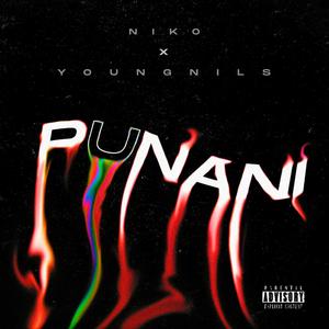 PUNANI (feat. Young Nils) [Explicit]