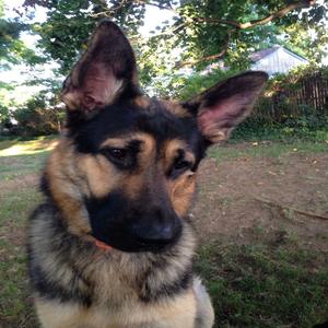 i will continue to love you