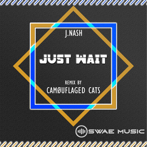Just Wait! (Camouflaged Cats Remix)