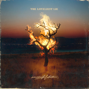 Positive I.D. (Explicit)