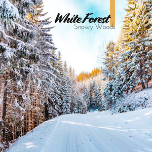 White Forest: Snowy Woods – Relax, Sleep, Meditation & Relaxing Nature Sounds