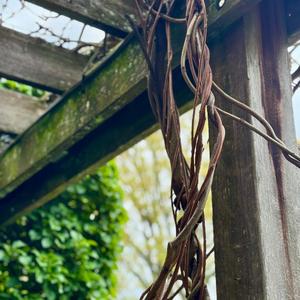 Tether (feat. Wept with Joy)