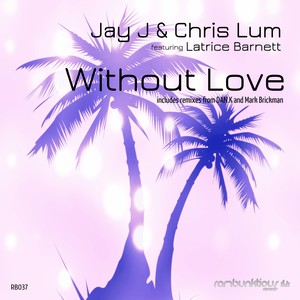 Without Love (Mark Brickman Vocal Re-Rub)