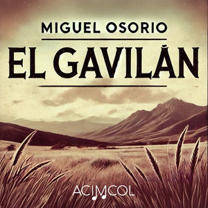 El Gavilán