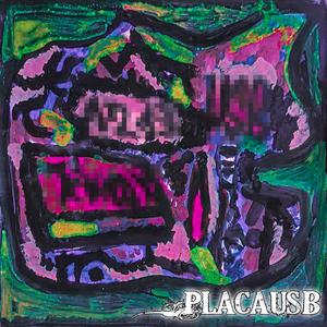 PlacaUsb