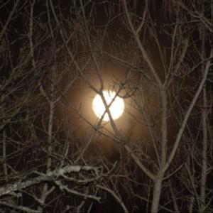 Legacy wont be mortal <3 burn me with a cross (feat. L8CALL) (Explicit)