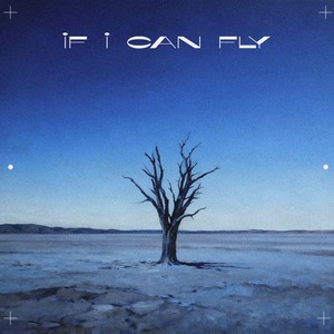 IF I CAN FLY (伴奏)