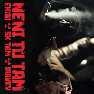 Ekoo Neni To Tam (feat. Sk Tbm & Wavey Tbm) [Explicit]