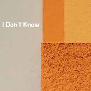 I Don't Know (feat. Drake White, Ponte Perro & Travis Denning) (Explicit)