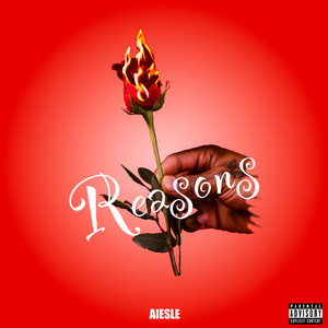 Reasons (Explicit)