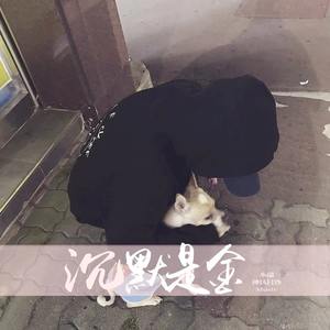 异域风情 (DJ版)