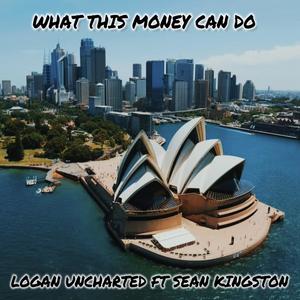 What This Money Can Do (feat. Sean Kingston) [Explicit]