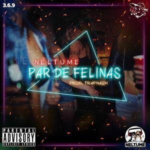 Par de felinas(feat. Trap Nash) (Explicit)