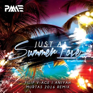 Just A Summer Love (Murtas Remix)