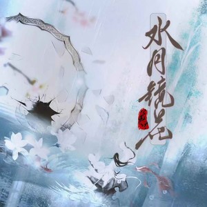 水月镜花 (DJ德朋版)封面