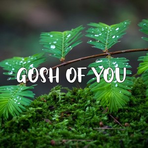 Gosh of you (Remix)