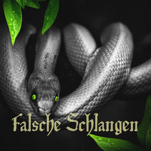 Falsche Schlangen (Explicit)