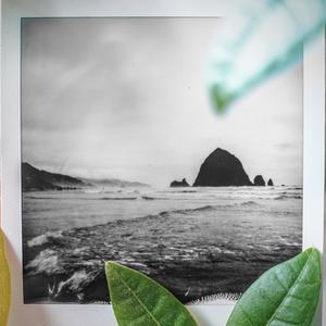 Don't Wanna Be Free (Inst.)