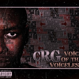 Voice Of The Voiceless