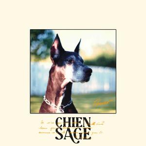 Pavlov(feat. Raccoon) (Explicit)