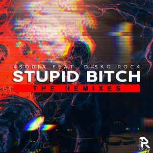 Stupid ***** (Drmk Remix|Explicit)