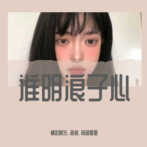 谁明浪子心 (DJ诗琦版)