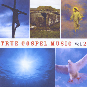 True Gospel Music, Vol. 2