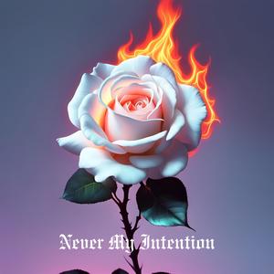 Never My Intention