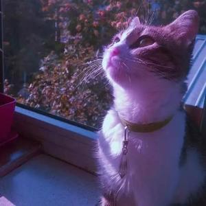 Fantastic May (prod.by LRUI17)