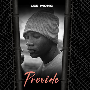 Provide