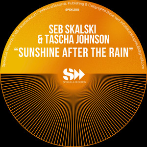 Sunshine After The Rain 2025 Mixes (2025 Radio Mix)