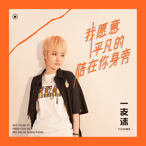 我愿意平凡的陪在你身旁 (伴奏)